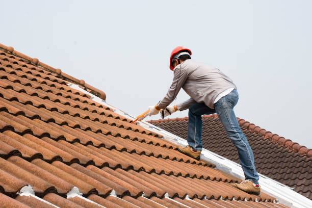 Best Rubber Roofing (EPDM, TPO)  in Toro Nyon, CA